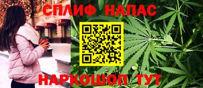 соль ск Будённовск