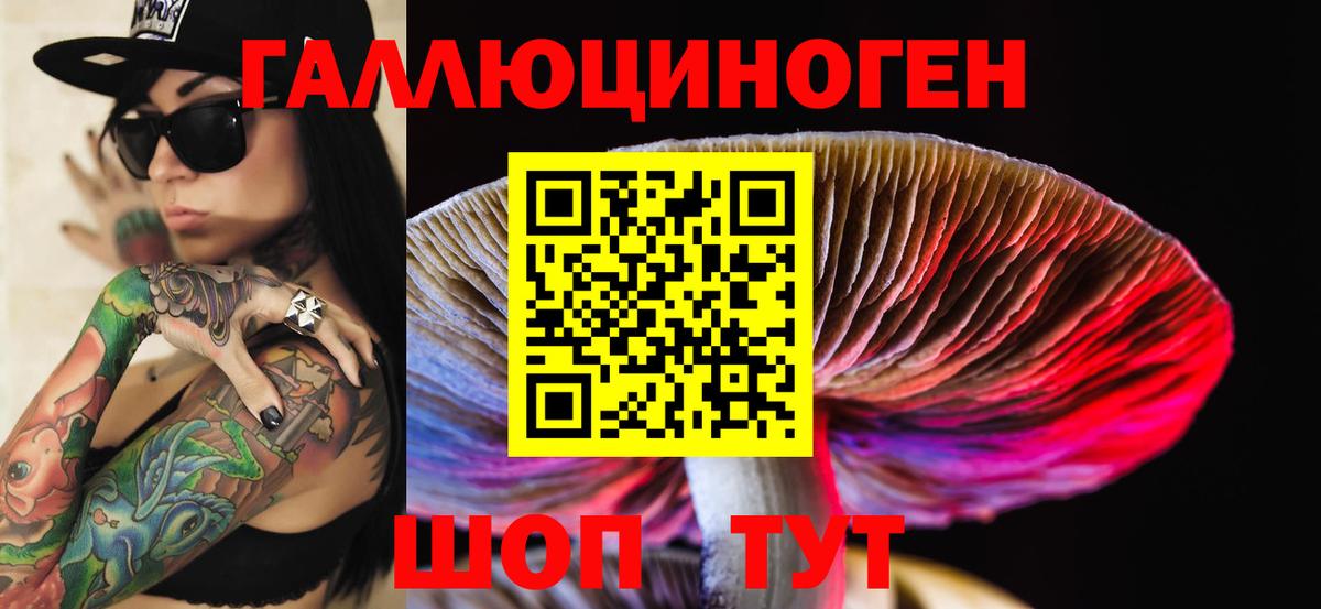 Зеленодольск  Псилоцибиновые грибы GOLDEN TEACHER  Вход с VPN 